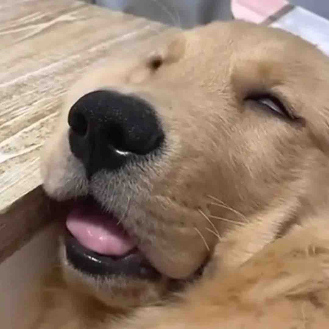 Yo a los 2 minutos de que empieza la película que busqué por 2 horas.