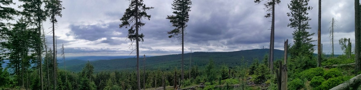Katzenautor's tweet photo. #Panoramic picture at the summit of the Altkönig ('Ancient King'), with unfortunately the usual #forest #dieback and in the distance the Großer Feldberg with the tower on the summit.
#Photography #Germany #landscape #nature https://t.co/G9mlpaG4Ao