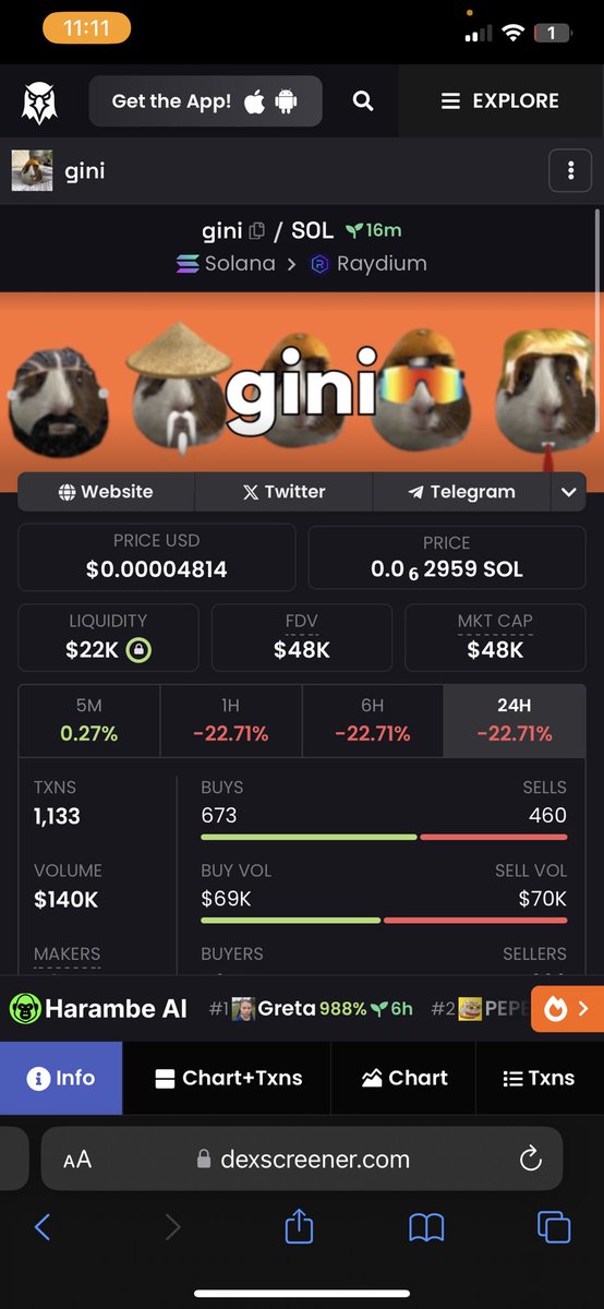 I aped $Gini 
Here dev is in tele video chat doxed

Send it