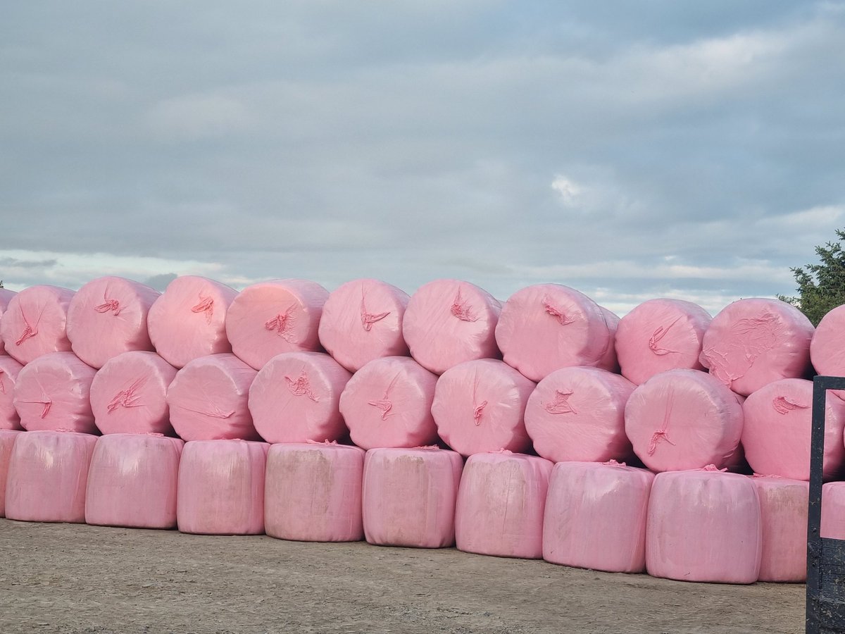HoctorMargaret's tweet photo. That's  a wrap @BreastCancerIre keep the conversation going .@farmersjournal https://t.co/2KLugjNuoI