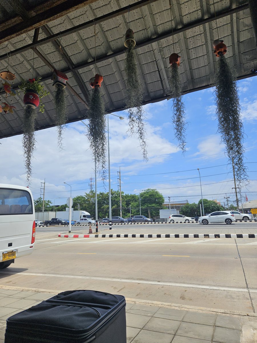 MAMAMMIND's tweet image. ฉะเชิงเทรา กทม ก็แค่ปากซอย เด่วเจอกันงับพี่มาย
#Mile1stSoloConcert