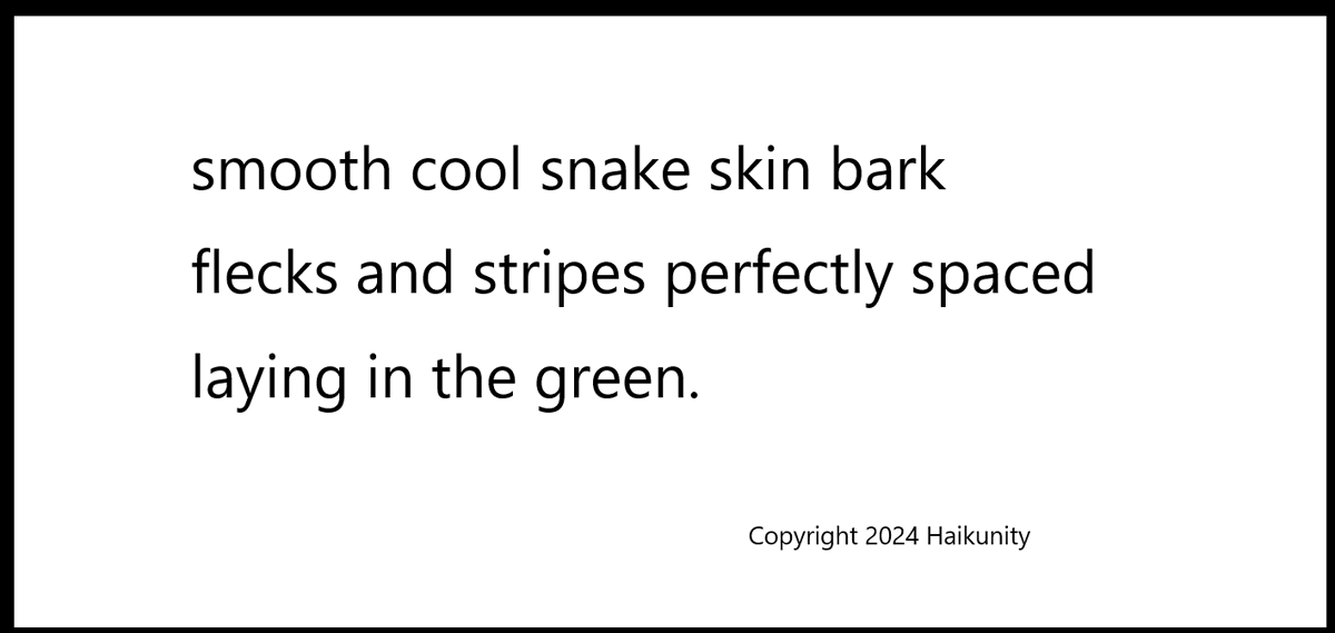 HaikUnity's tweet photo. #haiku #haikupoetry #haikupoems #senryu #haikunity #chouxhaiku https://t.co/qZ61vLrfA6