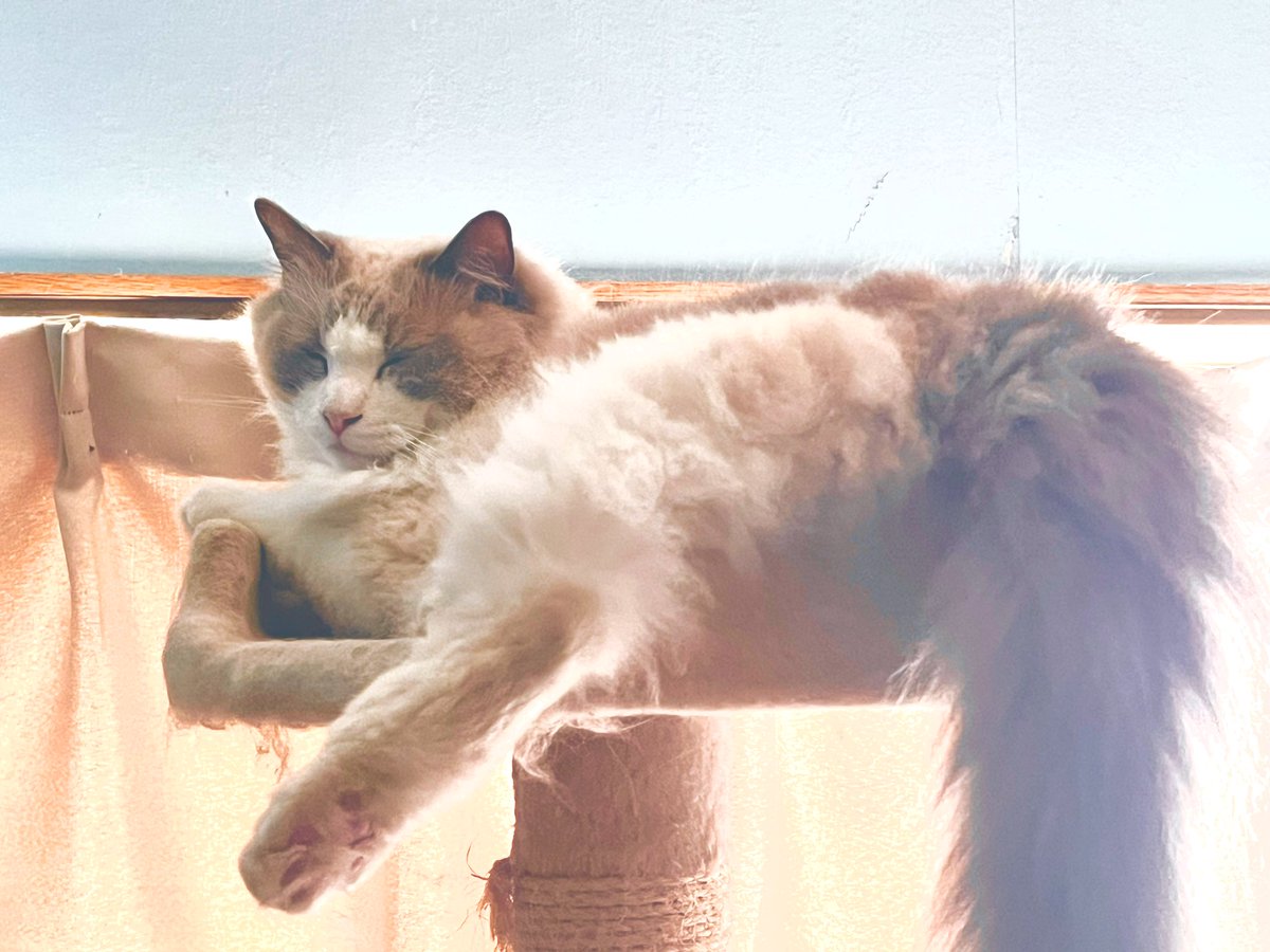 素晴らしいおみ足