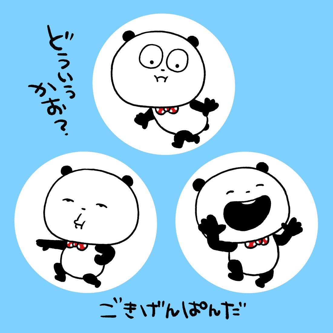 ぱんぱんぱーん #ごきげんぱんだ #いろんな顔 #いろんなポーズ #いい顔