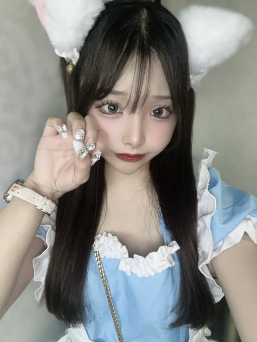 COLORFULCAT のツイート