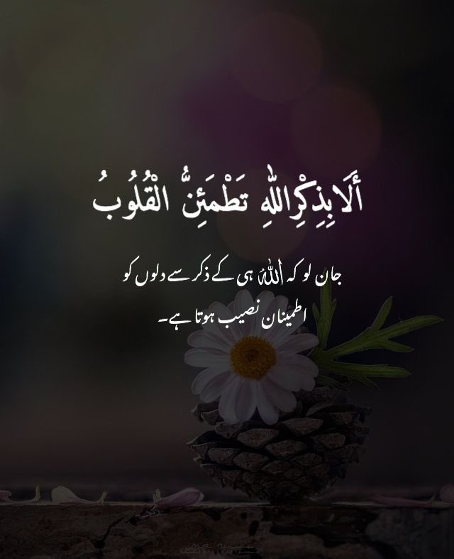 أسلام عيلكم ورحمة الله وبركاته 

بےشک