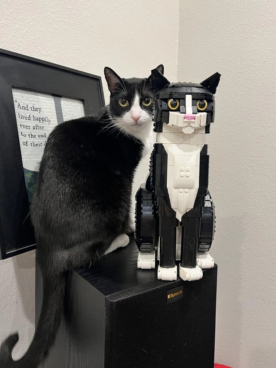 If there's One thing #CyberSecurity has thought me ... Is the Instinct to question everything...
The fundamental questions to always ask are:

"Is This True ??" 
" Why is this happening ??"
" Have I looked at this from another perspective ??"....And more 
Always question...#StemM