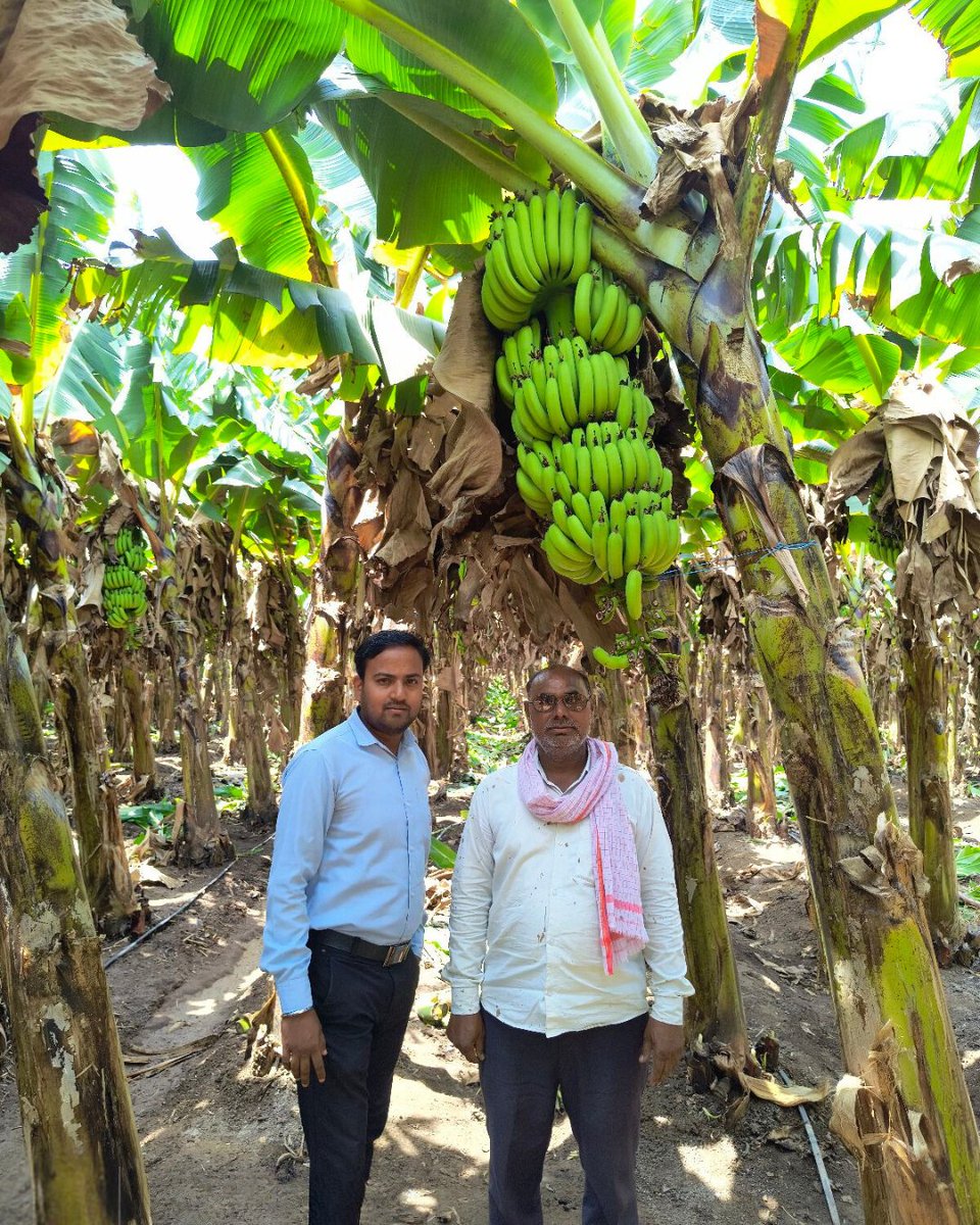 JainTissueCrops's tweet photo. The smiles say it all! 🌟 Our joyful Jain farmers, guided by expert agronomists and receive unwavering assistance and knowledge from pre-planting to harvest. 🌱✨
#HappyFarmers #JainHiTech #AgricultureSupport #jainfarmers https://t.co/HNMv3S9wpH