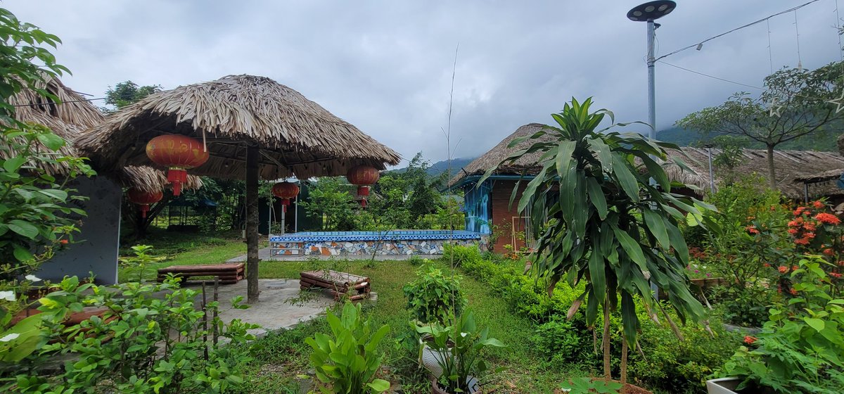 SpacePitours's tweet photo. ❤️The Beauty of Ha Giang❤️
Nestled in northern Vietnam, Ha Giang is a hidden gem with breathtaking landscapes, majestic mountains, &amp; vibrant cultures. 
Like❤️Follow❎️
#HaGiang #Vietnam #Travel #TourOnPi #Nature #Adventure #Culture #ExploreVietnam #UNESCO #Tourism #HiddenGem https://t.co/JiWQLclfPL