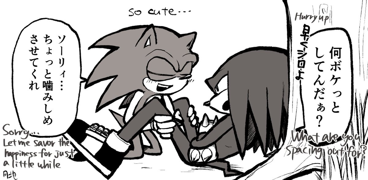 #sonknux #ソニナコ
ﾌﾛ買った記念に初描きのソナ