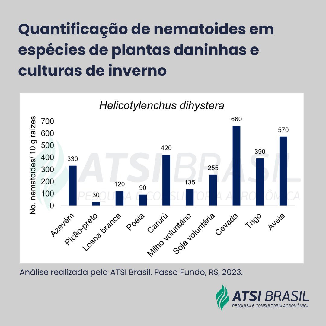 Piasecki_WS's tweet image. Análises realizadas em nosso laboratório  (ATSI Brasil) demonstraram a ocorrência de nematóides em espécies de plantas daninhas e cereais de inverno.
Conte com os serviços do nosso laboratório para identificar e quantificar nematóides. 
Entre em contato no WhatsApp (54)99647-2874
