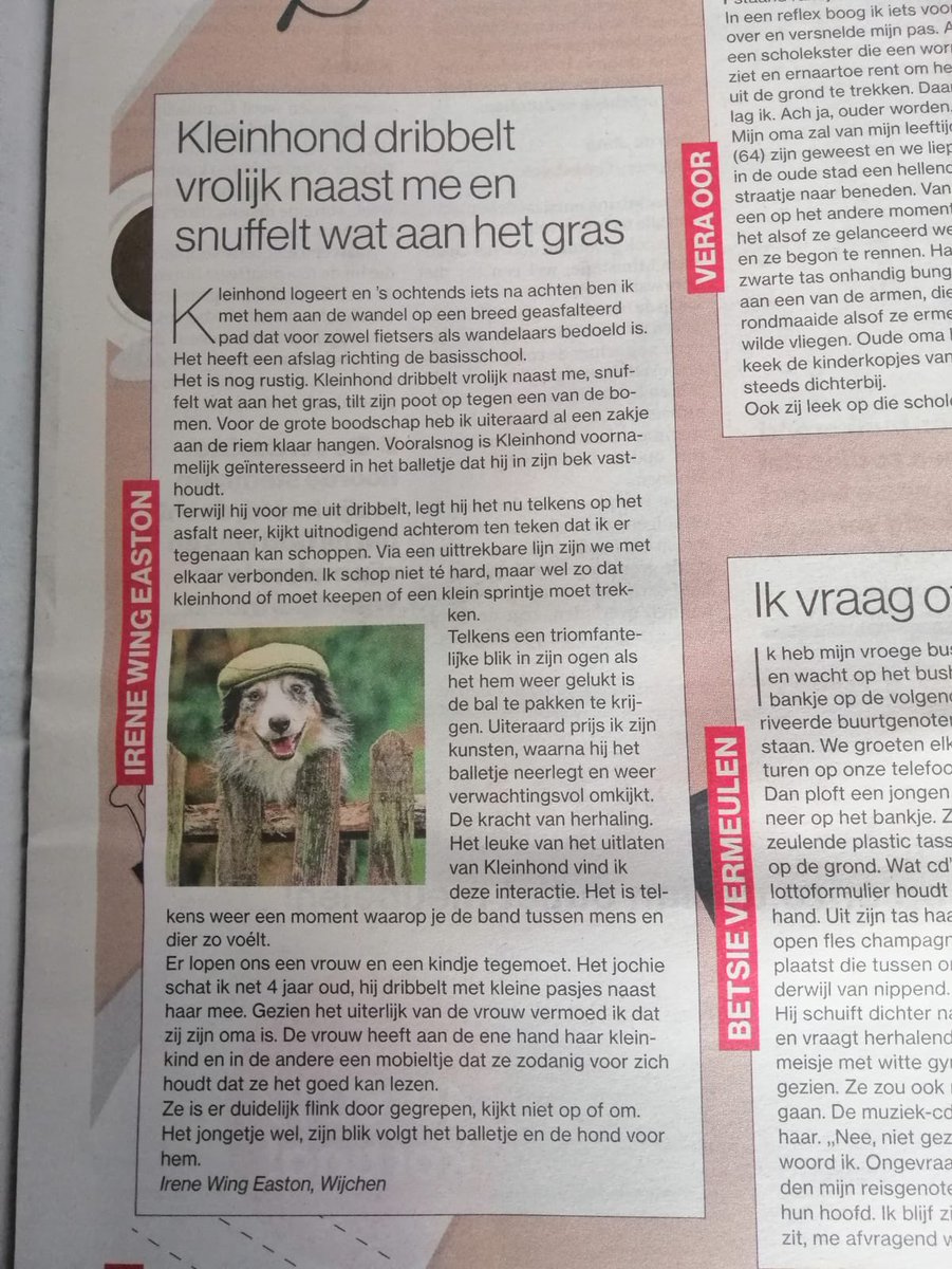 Gastschrijver in dagblad De Gelderlander. Alweer? Ja alweer!