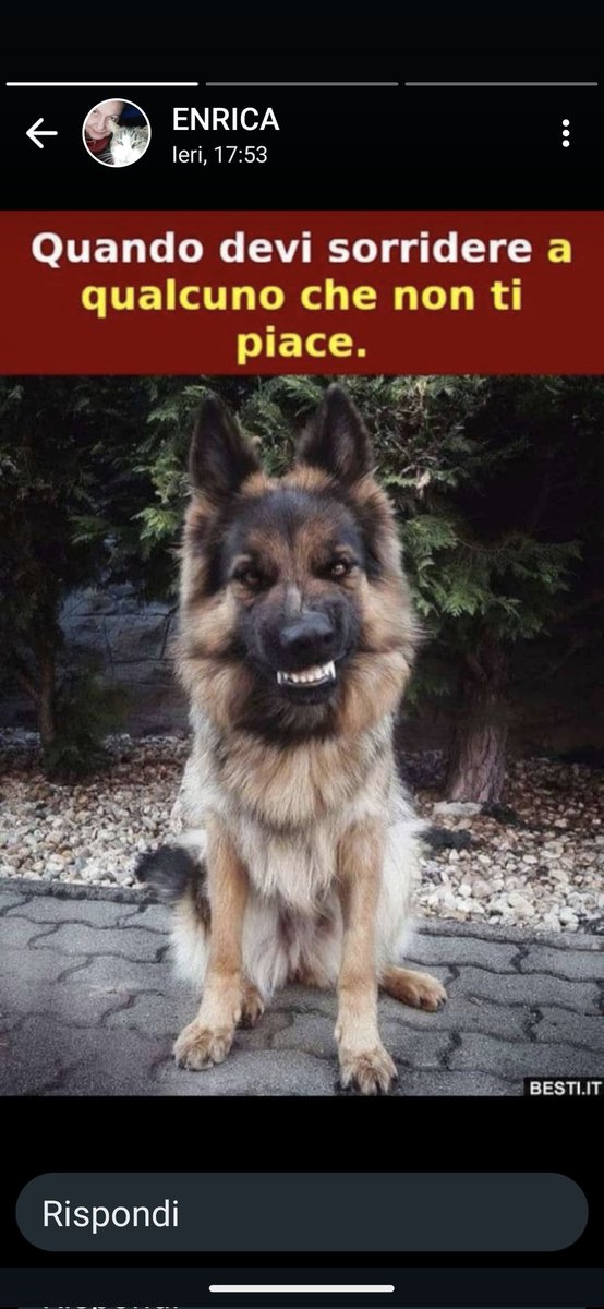 😂😂😂😂😂😂😂😂