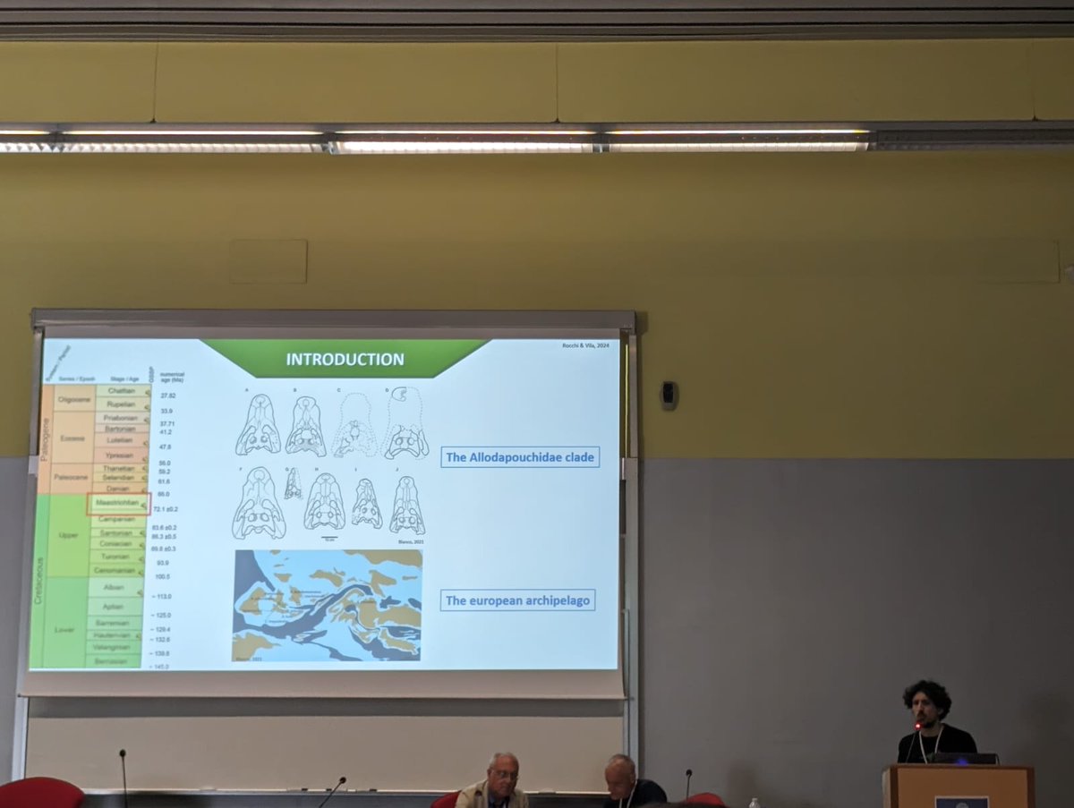 Riccardo Rocchi tweet media