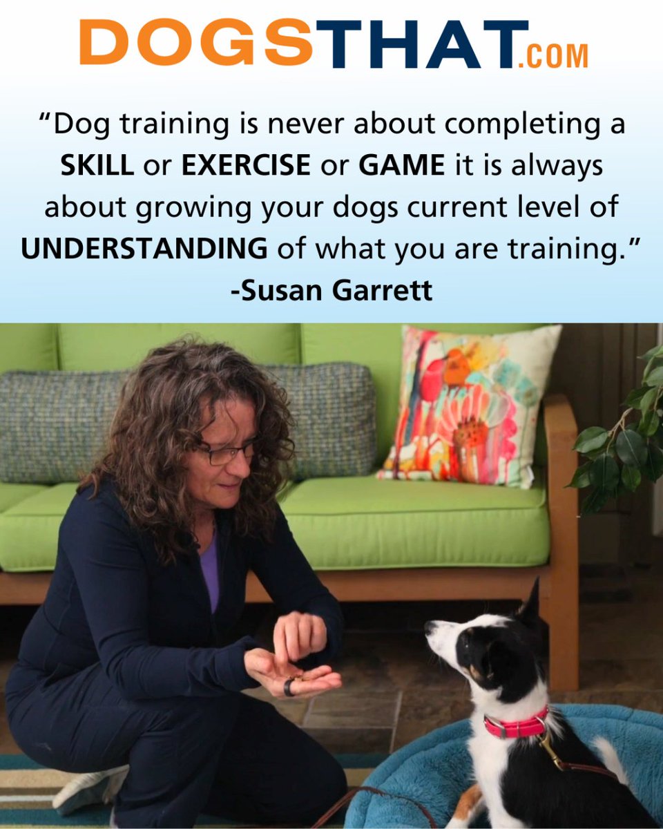 susangarrett's tweet image. "Dog training is never about completing a SKILL or EXERCISE or GAME it is always about growing your dogs current level of UNDERSTANDING of what you are training." -Susan Garrett #susangarrett #dogsthat #dogtraining #mindset #dogbehavior #learningandgrowing