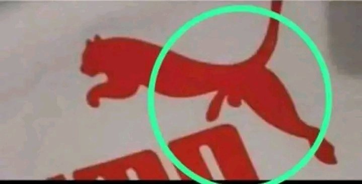 Re_Ac_Tor_MEME's tweet photo. Puma wey dey find puna😂😭 https://t.co/TUMUUi5Qjx