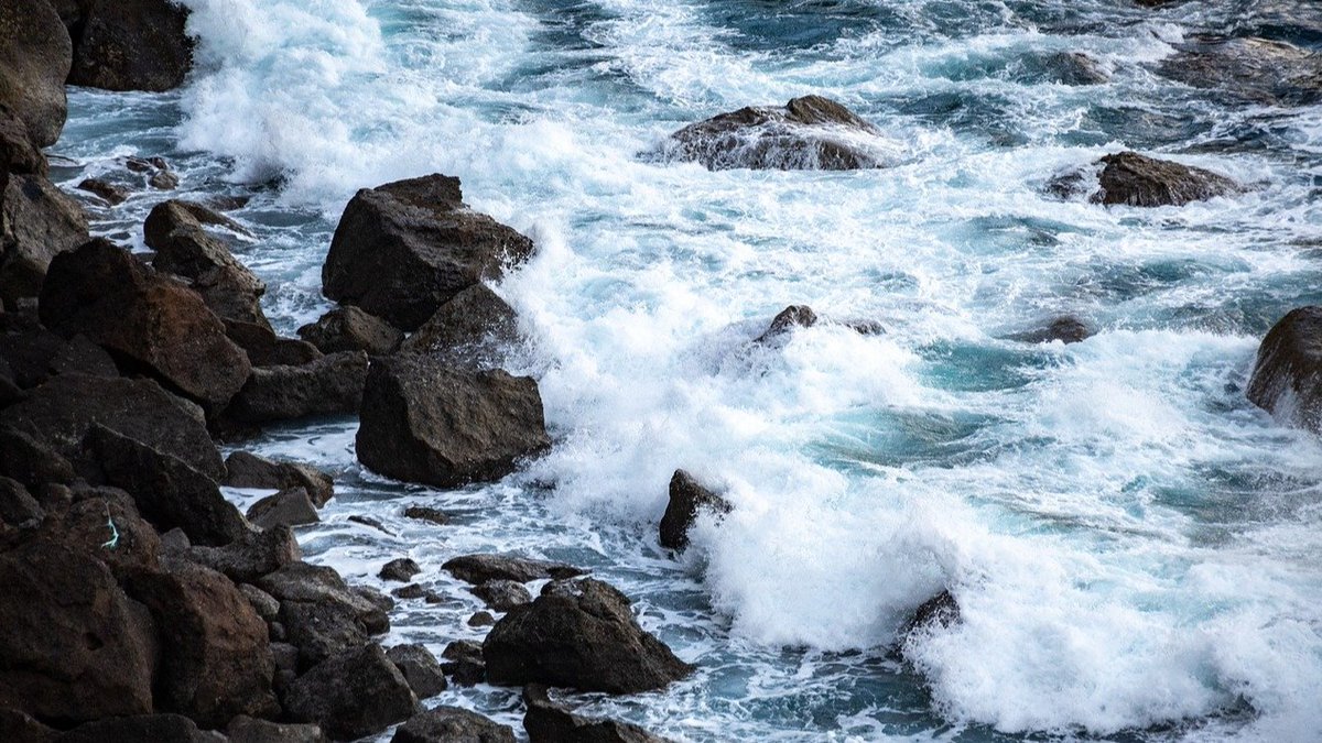 BCorpSpain's tweet image. 🎉​​ Atlántico, Pacífico, Índico, Ártico… ¿Te suenan estos nombres? 

🌊 Hoy es el Día de los Océanos, ¡y para celebrarlo nos fijamos en el trabajo que están haciendo algunas #BCorps para preservar la riqueza de estos ecosistemas!

🧵⬇️

#WorldOceansDay #DíaMundialDeLosOcéanos