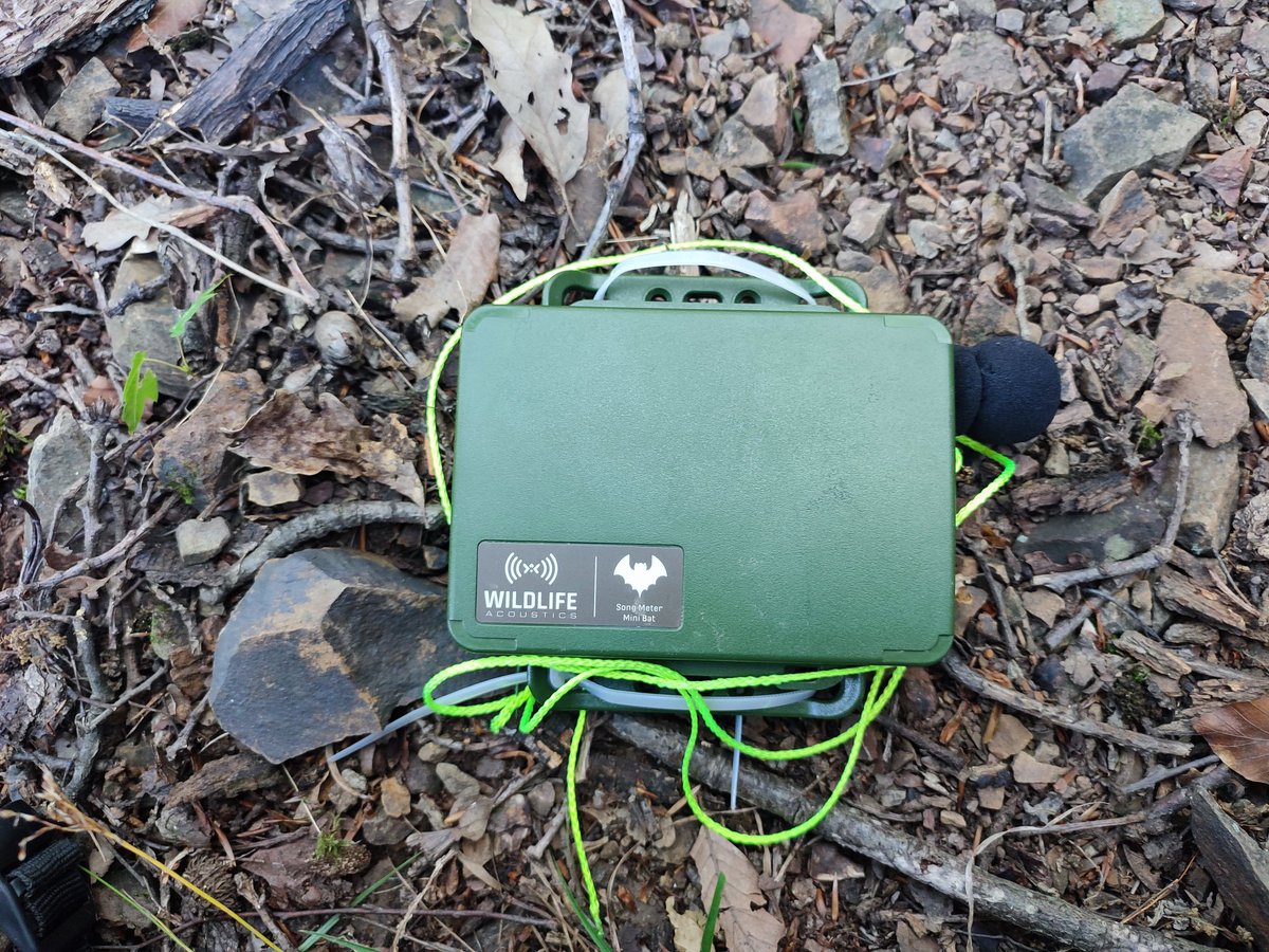 Ivona_K_J's tweet photo. Yesterday was a great day ☀️ spent in the oak and beech #forests 🌳 with @JDevetakov58103 for  #biodiversity #monitoring activities   @CoppiceForestRS  @SUPERB_project 
#insect 
#soil
#birdsound https://t.co/1FvwCM8SGG
