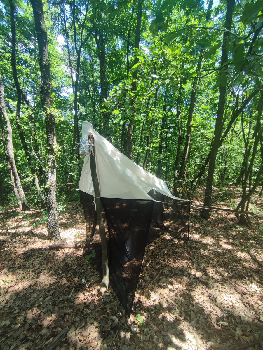 Ivona_K_J's tweet photo. Yesterday was a great day ☀️ spent in the oak and beech #forests 🌳 with @JDevetakov58103 for  #biodiversity #monitoring activities   @CoppiceForestRS  @SUPERB_project 
#insect 
#soil
#birdsound https://t.co/1FvwCM8SGG