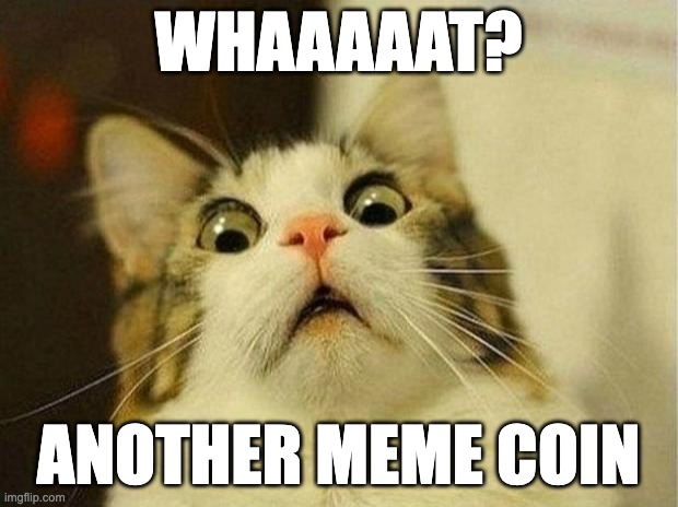 CryptoCats tweet media