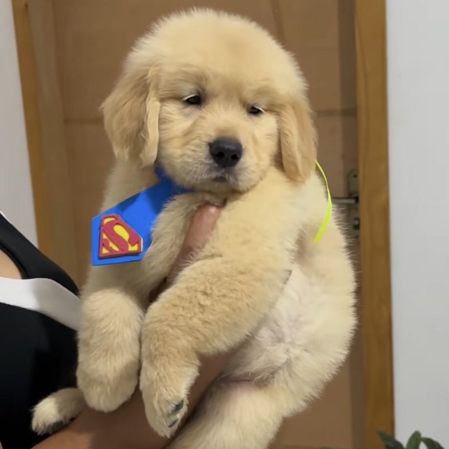 ป่อยนะ นี่สุปเป้อแมน กุ้โลก