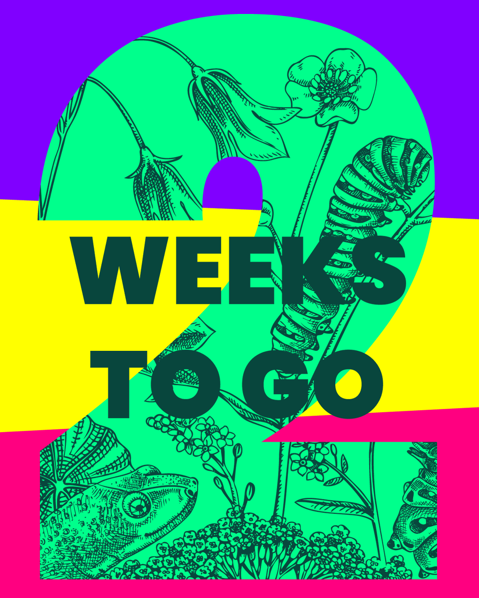 📢In just 2 weeks time, tens of thousands of people will march to Parliament to demand that whoever leads the next government, they do more to #RestoreNatureNow

The dire need is clear - pollution, species extinction and habitat decimation threatens not just wildlife, but our own