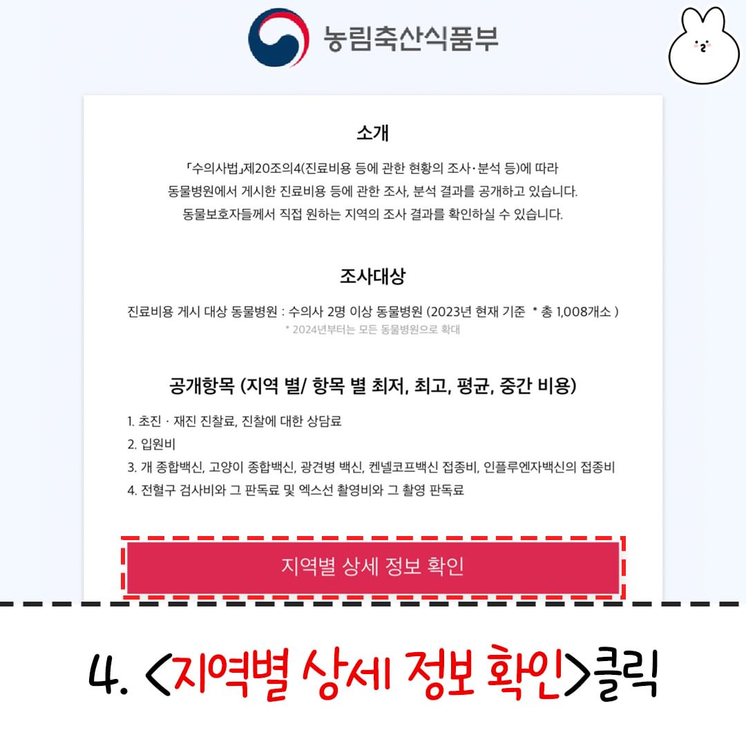 동물병원 호구 안 당하는 꿀팁 (1/2)