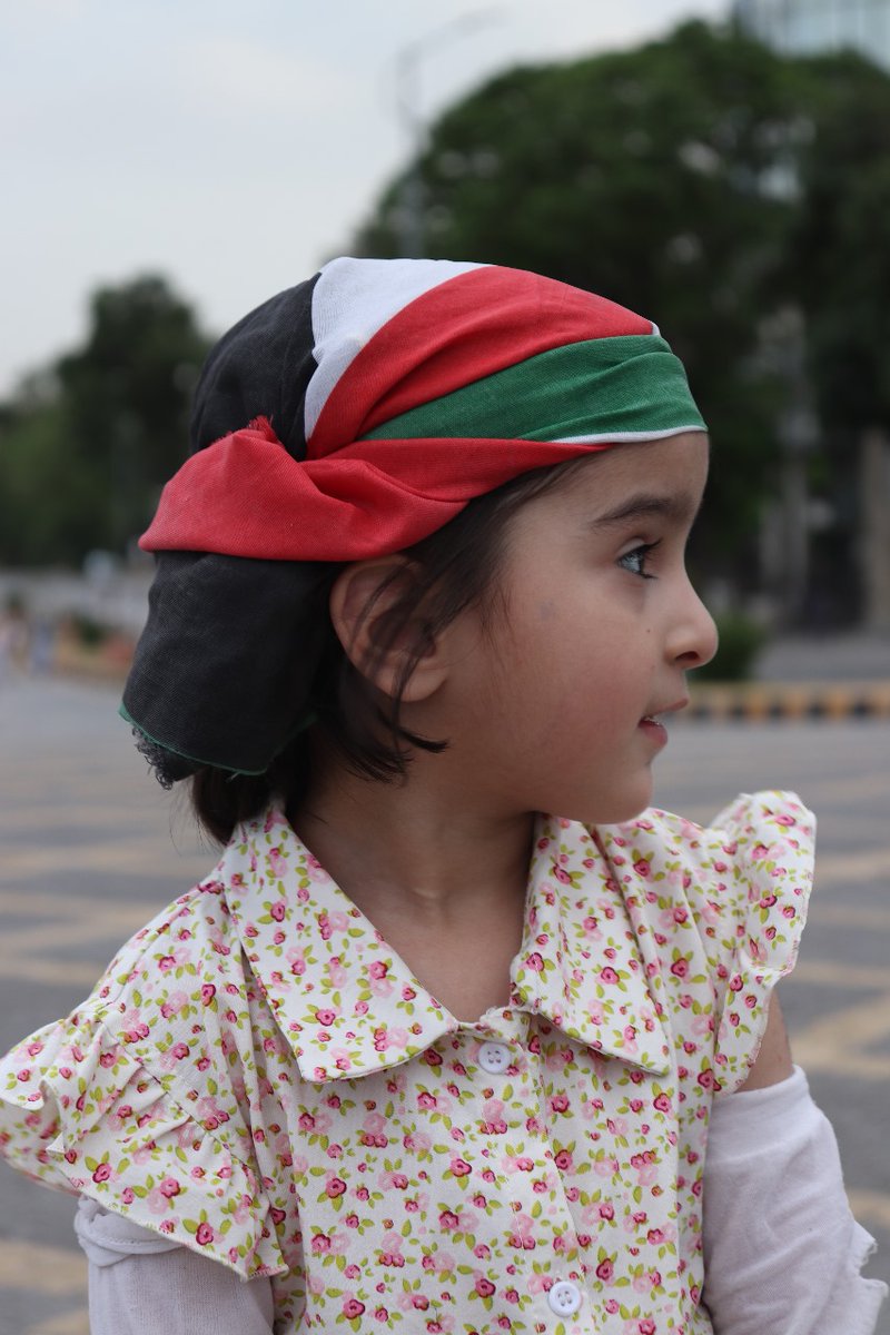 TubaWaheed37683's tweet photo. Let’s make our voices heard and rename D-Chowk to Gaza Chowk. Stand with us against 
oppression. #RenamingDChowk
Inshallah one day we will say :
The truth has come and falsehood has vanished
@7MohammedKhaled @_Mansoor_Ali  specially @GovtofPakistan 
@AnwarLodhi @WaseemBadami https://t.co/seq9LesprE