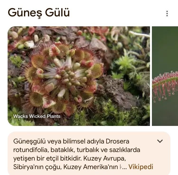 Senin Allah belanı versin.
#yks2024