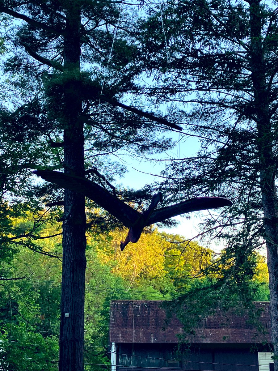 michael sarff tweet media