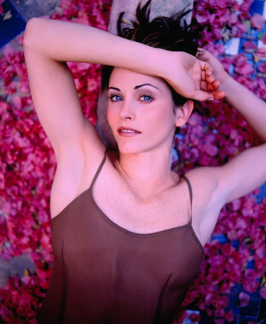 All The Right Movies tweet media