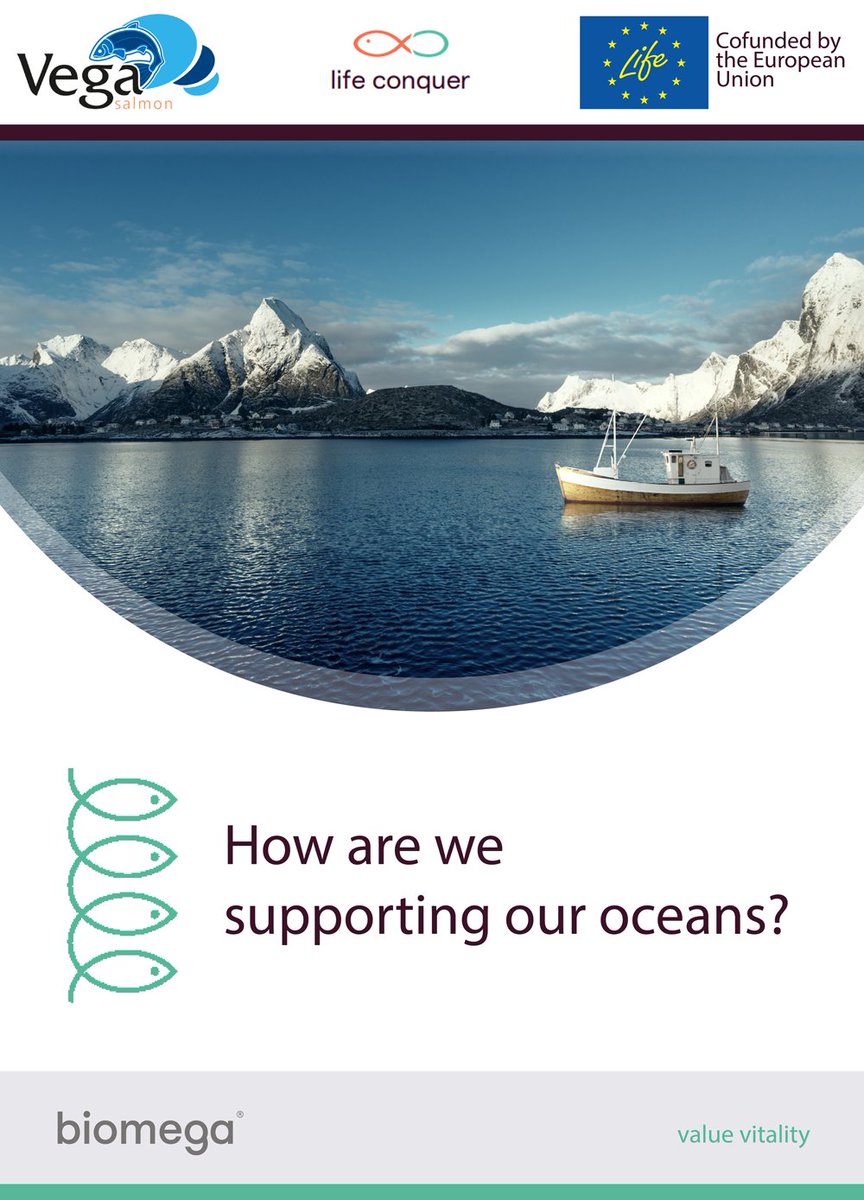 _Biomega's tweet photo. Today is #WorldOceansDay. At biomega®, we are committed to making a positive impact on the world by enhancing vitality and quality of life through our diverse product range. We take pride in contributing to the circular economy within our industry. https://t.co/tqcsNYkrOn https://t.co/r7jnCjQD74