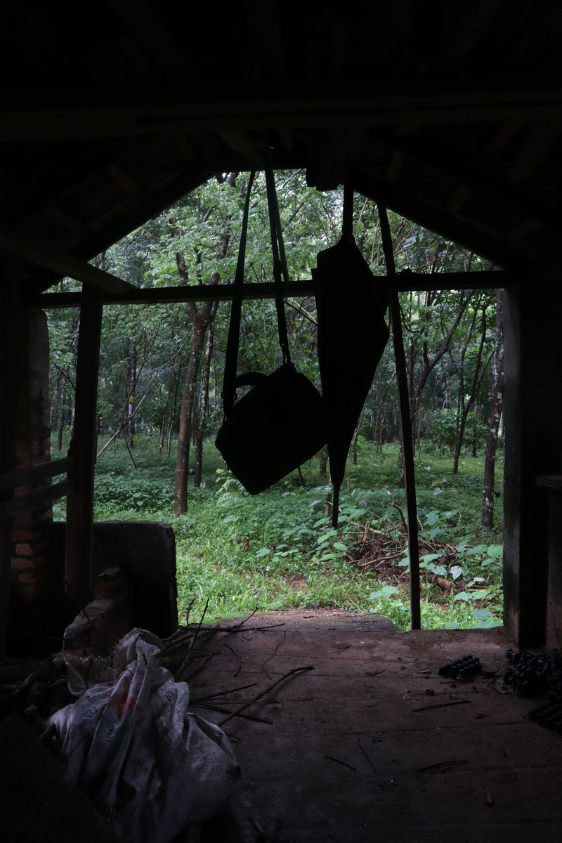 DeepuD_'s tweet photo. ☂️ Umbrella says, Don't fear Cam 📷. I will always be with you 🥰

#Monsoon
#Canon
#CanonM50 
#Canon 
#Photo https://t.co/8htKhrgTuL