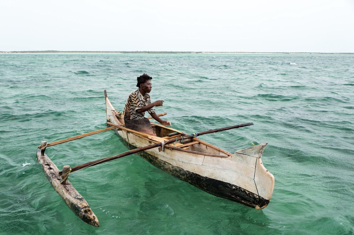 Blue Ventures tweet media