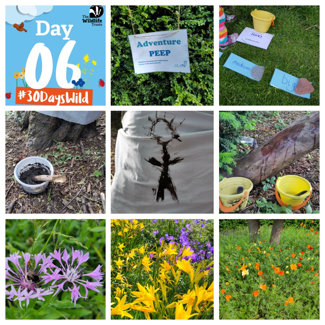 Mattjcrofts's tweet photo. Day 6 of @30DaysWild included outdoor adventure fun at First Step Community Project Musselburgh adventure peep and a walk in a flower garden.

#30dayswild #adventure #OutdoorFun https://t.co/eRffTQy396