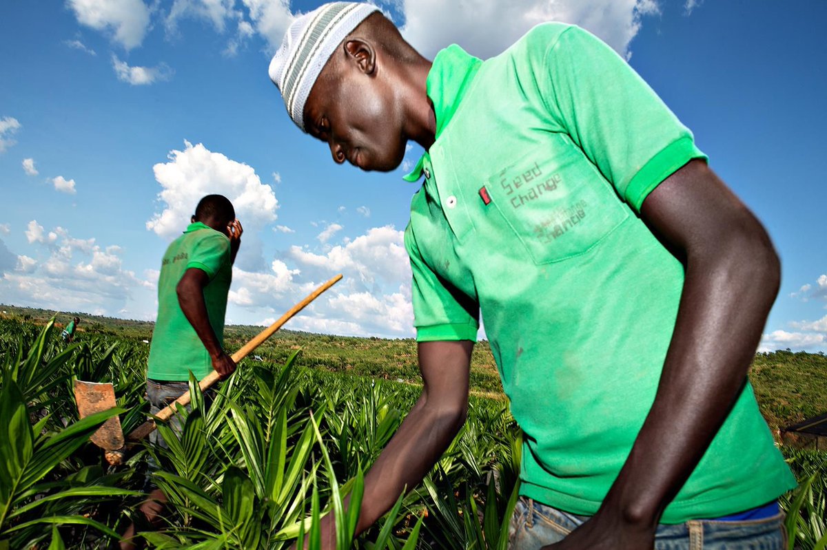KingWobil's tweet image. The Integrated Soil Fertility Management (ISFM) has come to promote an African Green Revolution and help address the setbacks above.
(Credit to @IFDCGlobal)

📸: @DAgrarFA; @NIRAS_Group_UK

3/3

#AgriDirectGh #fertilizers #farminputs #agronomy #productivity #foodsecurity #FAO