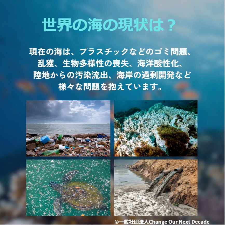 COND_2020's tweet photo. 本日は世界海洋デーです！

今年のテーマは「海洋と気候のための行動を促進する」です。
海の豊かさを守ることは、地球温暖化対策にもつながります。

海洋環境の保全・回復を盛り上げていきましょう！

#世界海洋デー　#WorldOceamDay #COND https://t.co/KjU3H6njn6