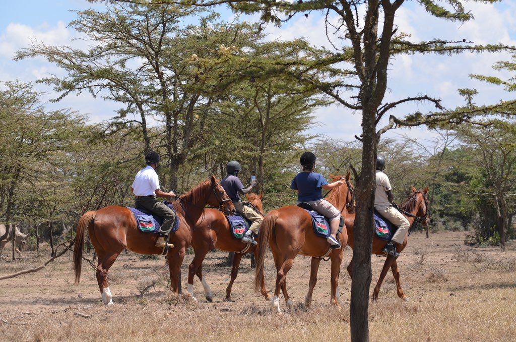 SkippyTours's tweet photo. Flying Package Inclusive: 
• Return Airfare
• Return Transfers
• 2 Night Accommodation
• Full Board
• 2 Game Drives per day Or 3 Game Drives + one night game drive Or a visit to the endangered species Boma experience.

RATES:
Kshs. 120,900/- Per Person.

#SkippyTours https://t.co/mj6w5faznd