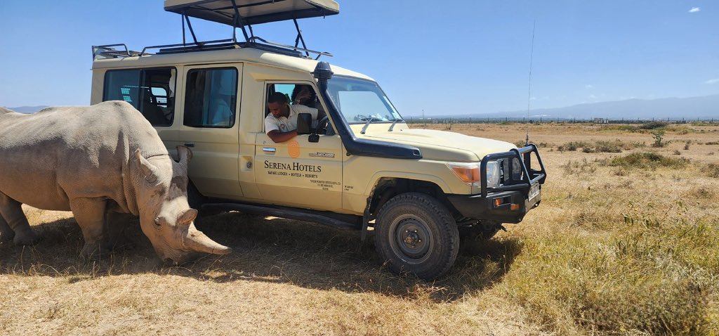 SkippyTours's tweet photo. Flying Package Inclusive: 
• Return Airfare
• Return Transfers
• 2 Night Accommodation
• Full Board
• 2 Game Drives per day Or 3 Game Drives + one night game drive Or a visit to the endangered species Boma experience.

RATES:
Kshs. 120,900/- Per Person.

#SkippyTours https://t.co/mj6w5faznd