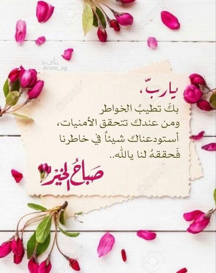 kaaaanz1's tweet photo. @Ma5assak3 https://t.co/7hHmqiNfly