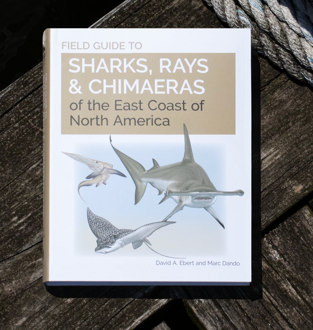 Princeton Nature tweet media