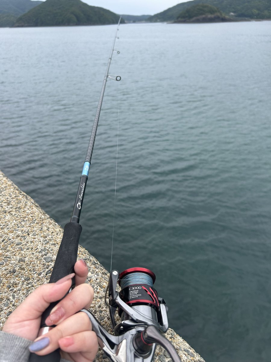 paruko°+ぱるこ.* (@papapanoPARUKO) / Posts / X