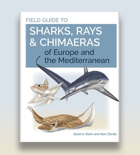 Princeton Nature tweet media