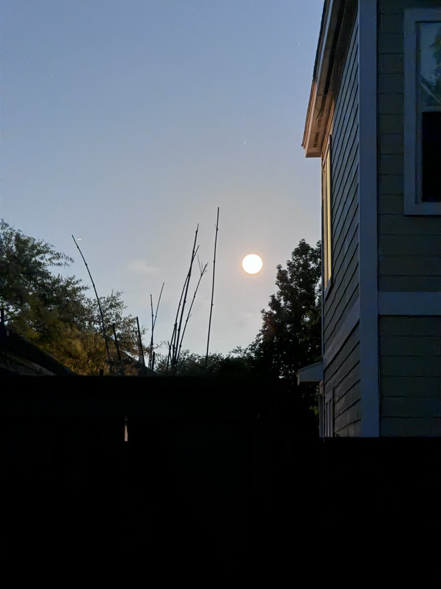 This is the Moon 🌙 . Not the sun 🌞 . 

#Houston #photography #houstonlostandfound