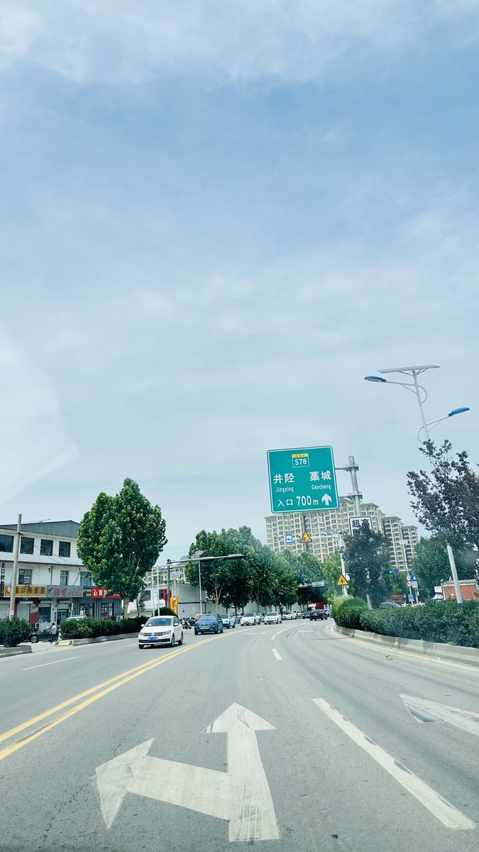 养犬的唐哥S tweet media