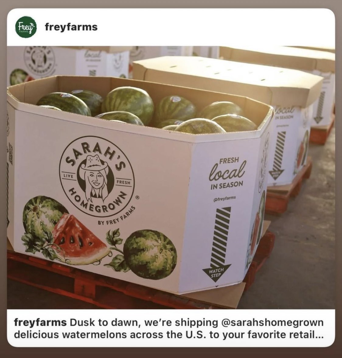 Sarah Frey tweet media