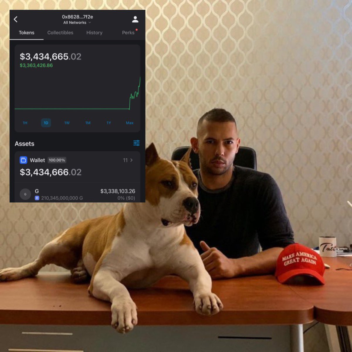 NobleIrons7de's tweet photo. Aping the dips of $G
G the Andrew Tate Dog
Team send 50% $G supply to @Cobratate wallet
So bullish
Currently $4.8m mcap
0x276105758dfb270f5Cd845Aa04a6Ba09C88699ca
#Ethplay #100X #Bullrun #TopG https://t.co/nP2DtyzNhe