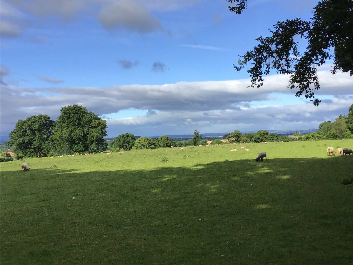 Good morning from the Beeches Camp at <a href="/Oakerwood/">Oaker Wood Leisure</a>! ☀️ A very early start here with most children up before 6am. They’ve had breakfast and are looking forward to their first activity of the day. <a href="/MarlboroughPrim/">Marlborough Primary School</a> <a href="/wyndclf/">Wyndcliffe Primary School</a> <a href="/leightrustb8/">LeighTrust</a> #ResidentialTrip