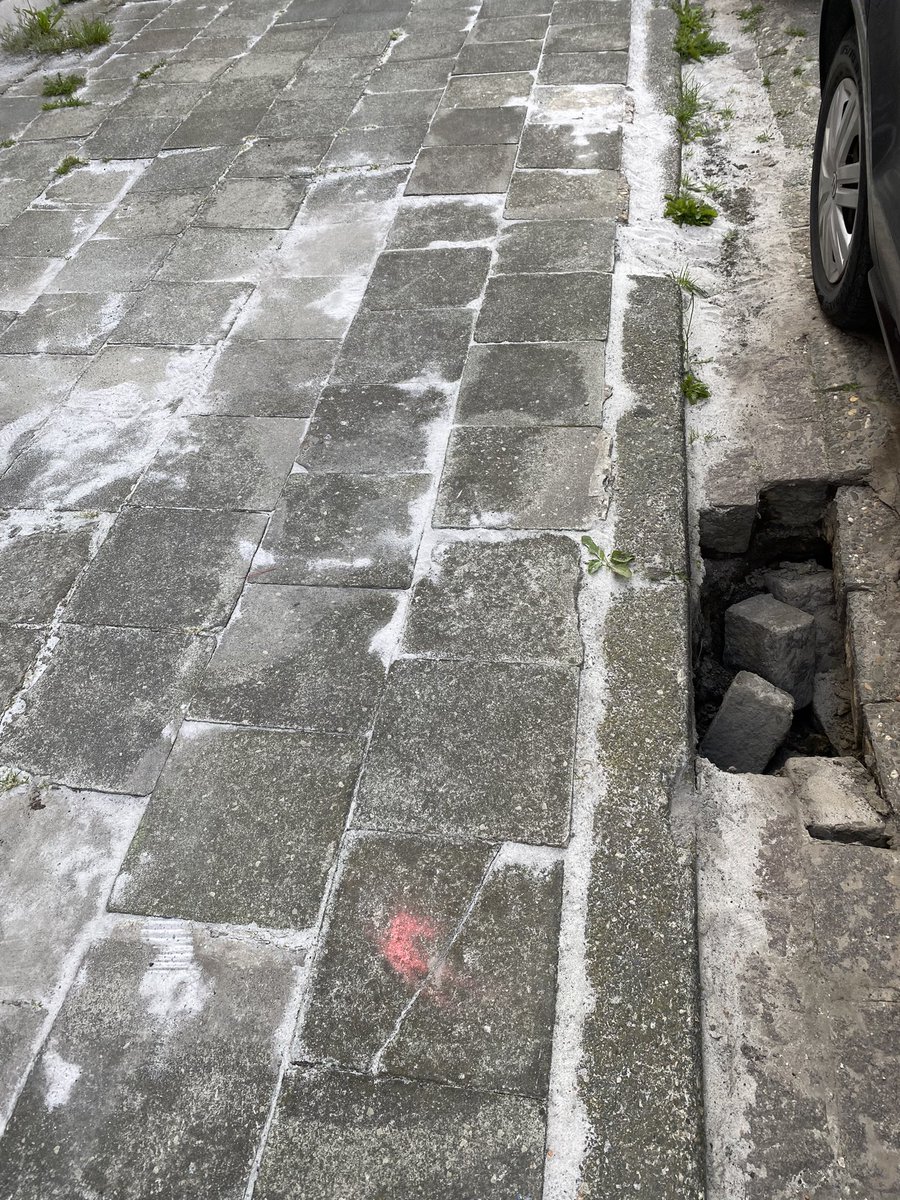 De Munck Michel 👶👶👶👶🇧🇪🐝🇪🇺😻🐶💙🤍🌈 tweet media