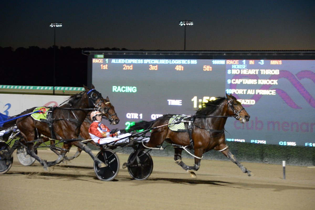 EmpireStallions tweet picture